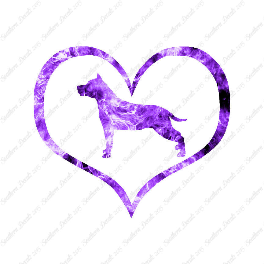 American Staffordshire Terrier Dog Heart