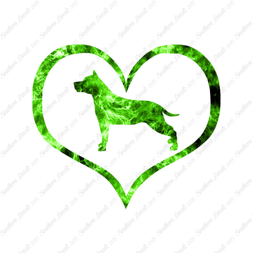 American Staffordshire Terrier Dog Heart