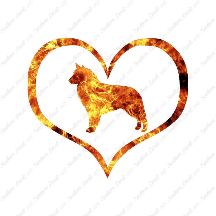 Belgian Sheepdog Dog Heart Love