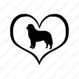 Bernese Mountain Dog Heart Love