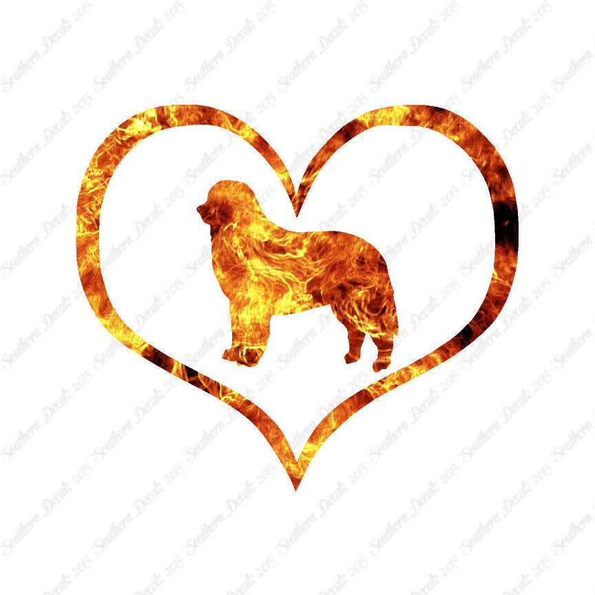 Bernese Mountain Dog Heart Love