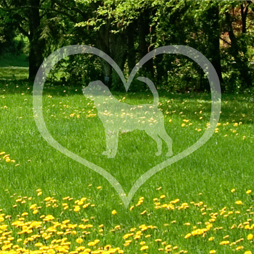Bloodhound Dog Heart Love
