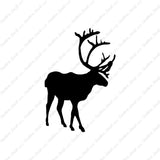 Caribou Elk Reindeer