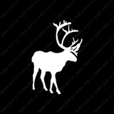 Caribou Elk Reindeer