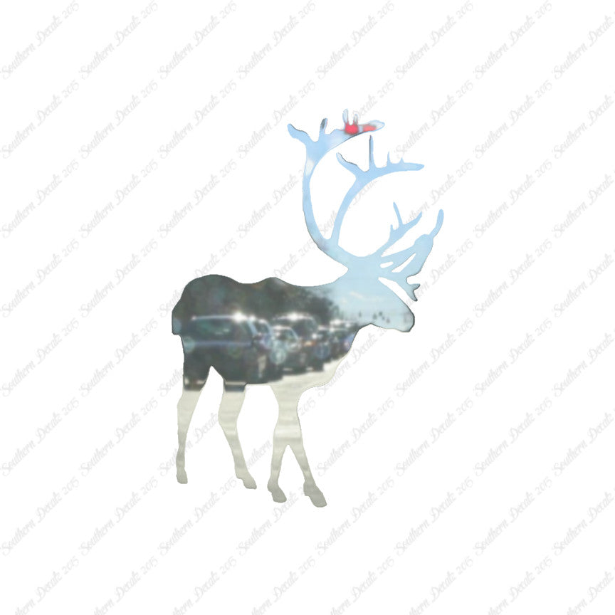 Caribou Elk Reindeer