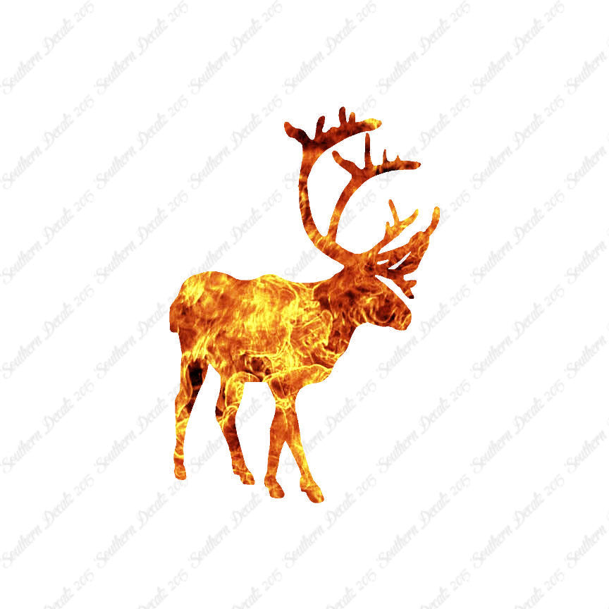 Caribou Elk Reindeer