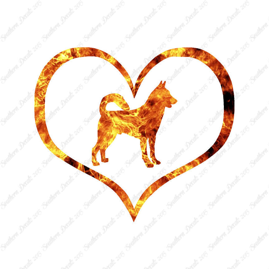 Canaan Dog Heart Love