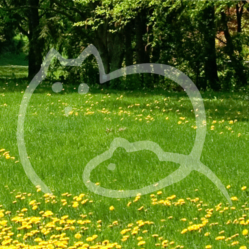 Cat And Mouse Outline