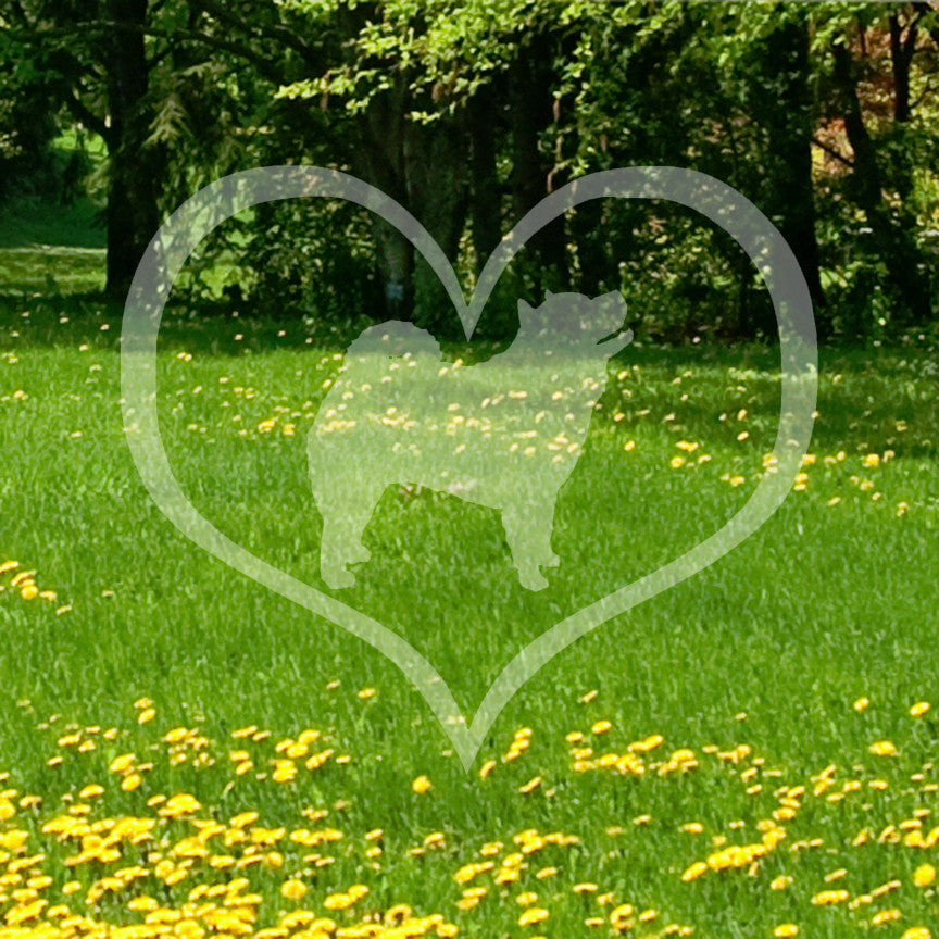 Chow Chow Dog Heart Love