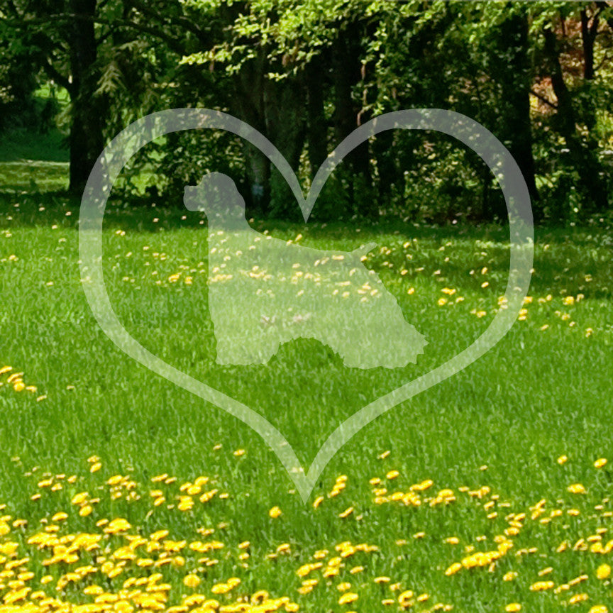 Cocker Spaniel Dog Heart Love