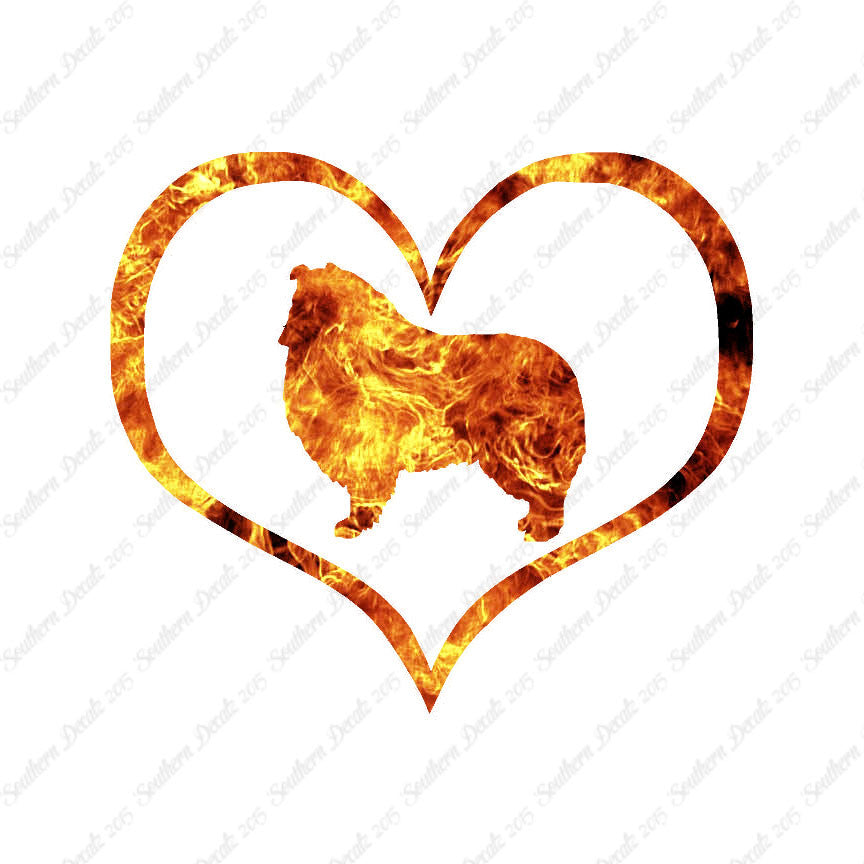 Rough Collie Dog Heart Love