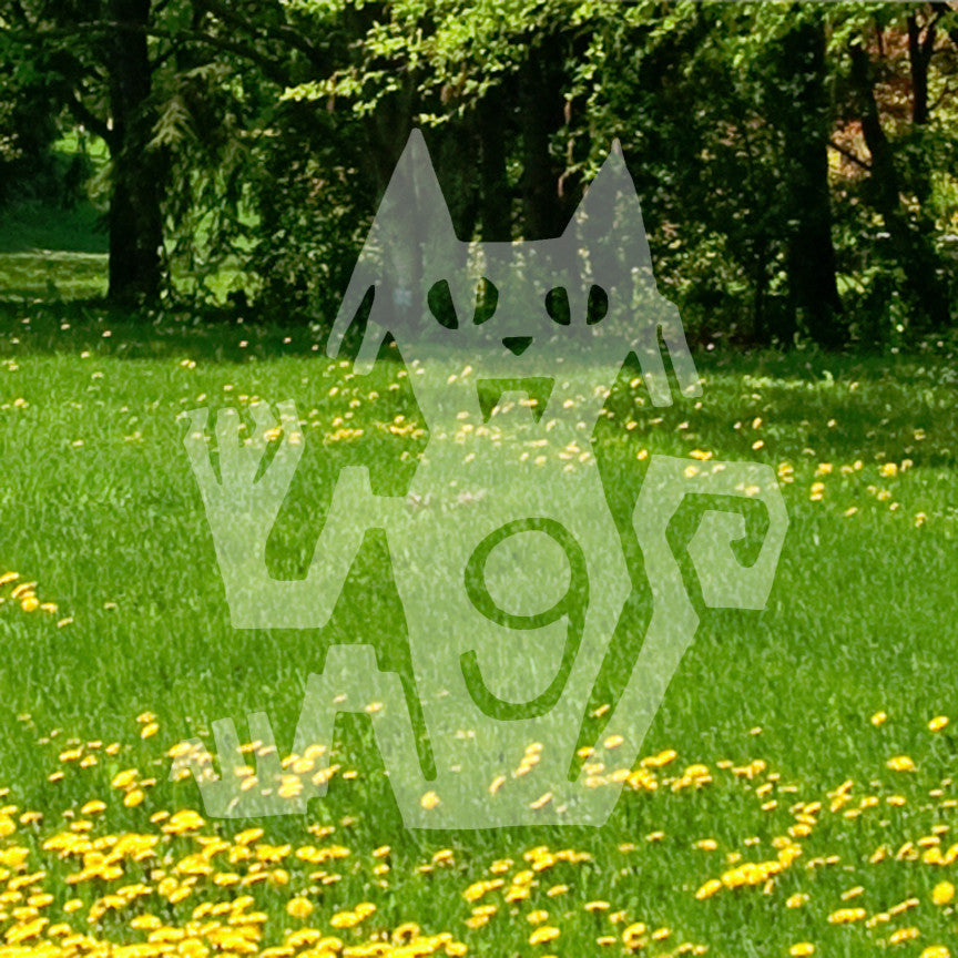 Cat Nine Lives