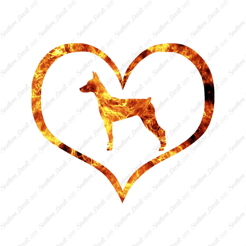 German Pinscher Dog Heart Love