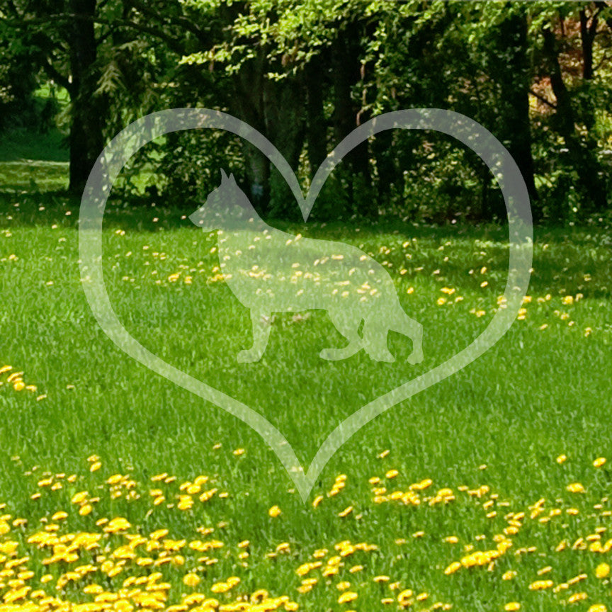 German Shepherd Dog Heart Love