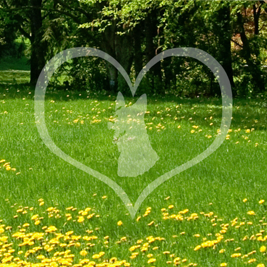 German Shepherd Face Dog Heart Love