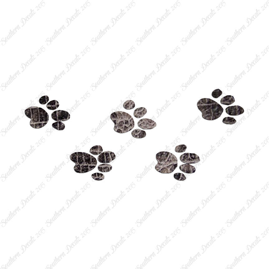 Cat Paw Print