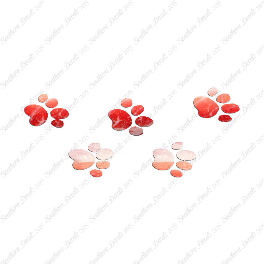 Cat Paw Print