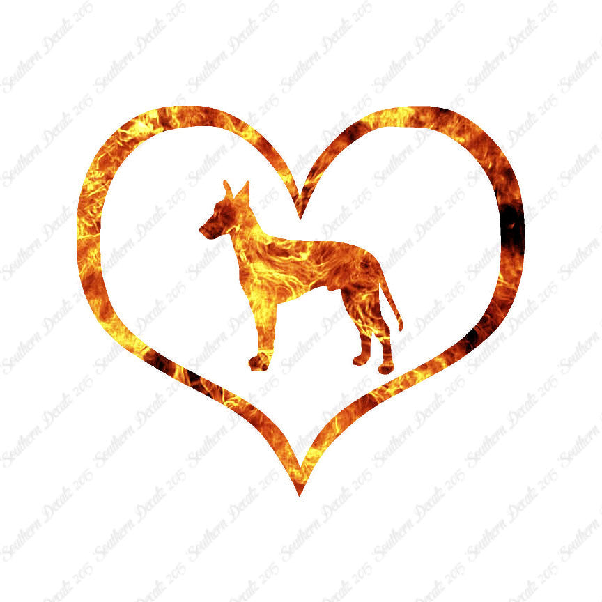 Manchester Terrier Dog Heart Love