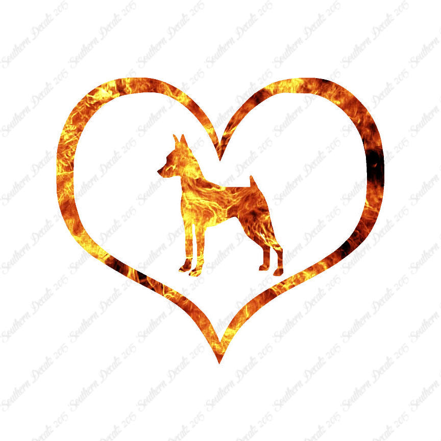Miniature Pinscher Dog Heart Love
