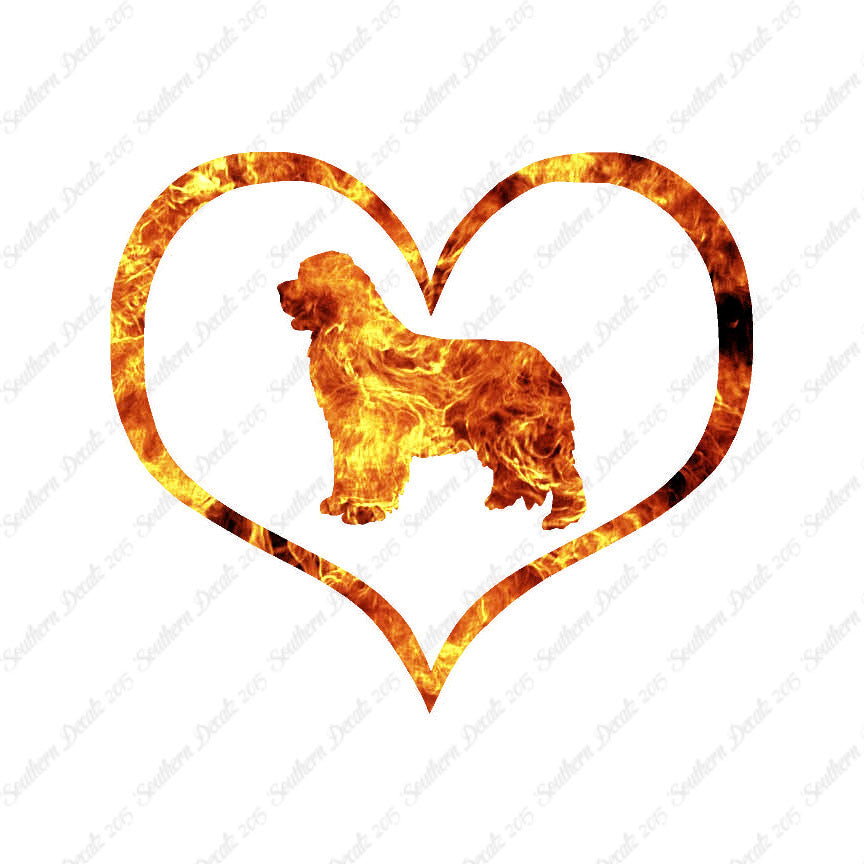 Newfoundland Dog Heart Love