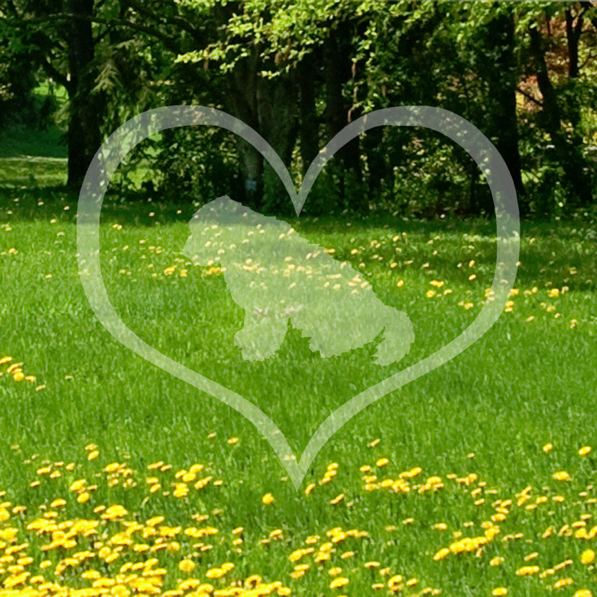 Old English Sheepdog Dog Heart Love
