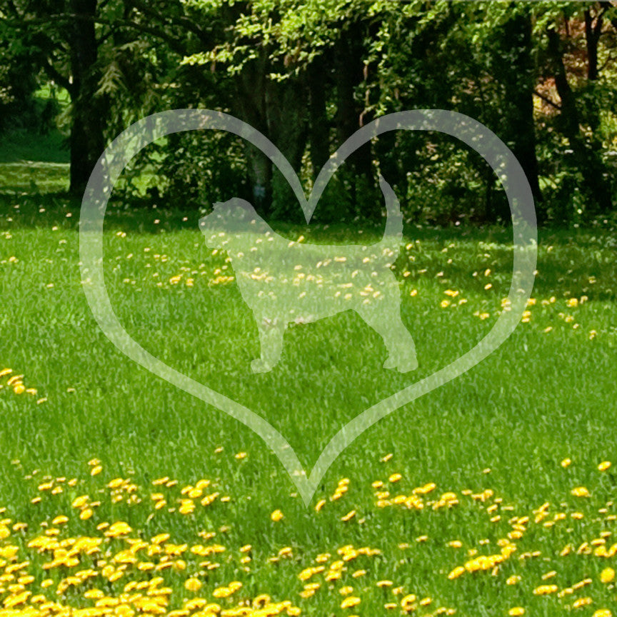 Otterhound Dog Heart Love