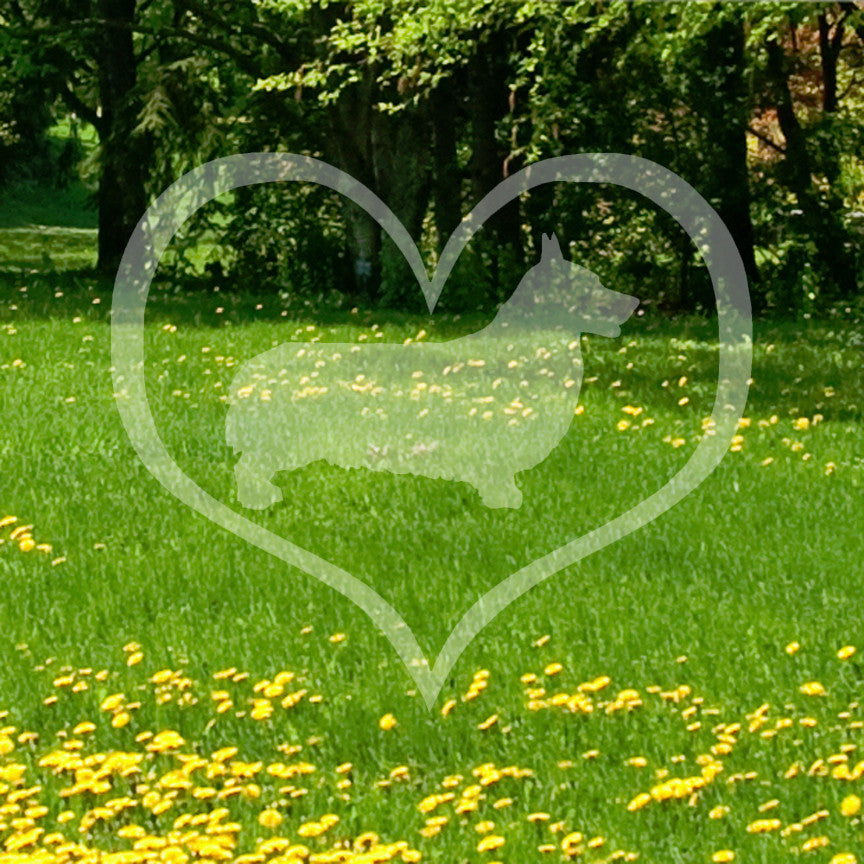 Pembroke Welsh Corgi Dog Heart Love