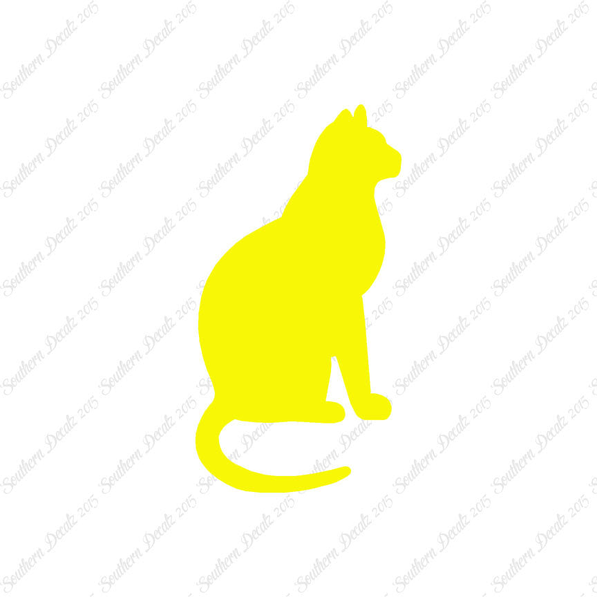 Sitting Cat Kitten