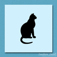 Sitting Cat Kitten