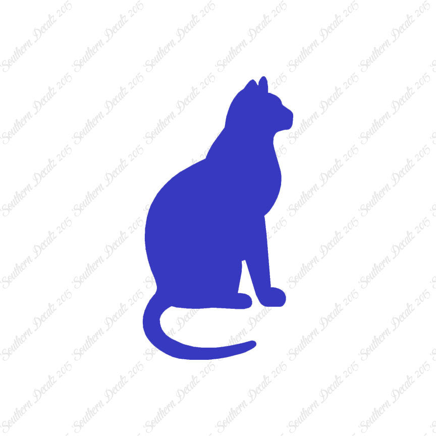 Sitting Cat Kitten
