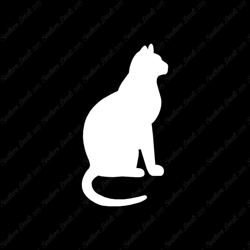 Sitting Cat Kitten