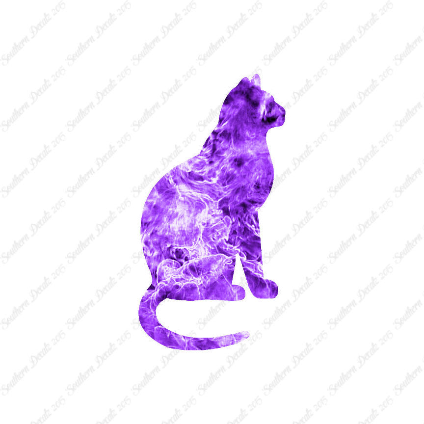 Sitting Cat Kitten