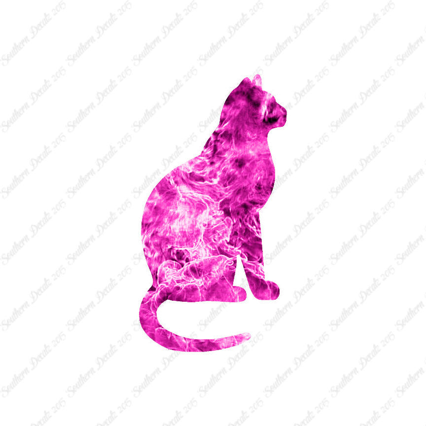 Sitting Cat Kitten
