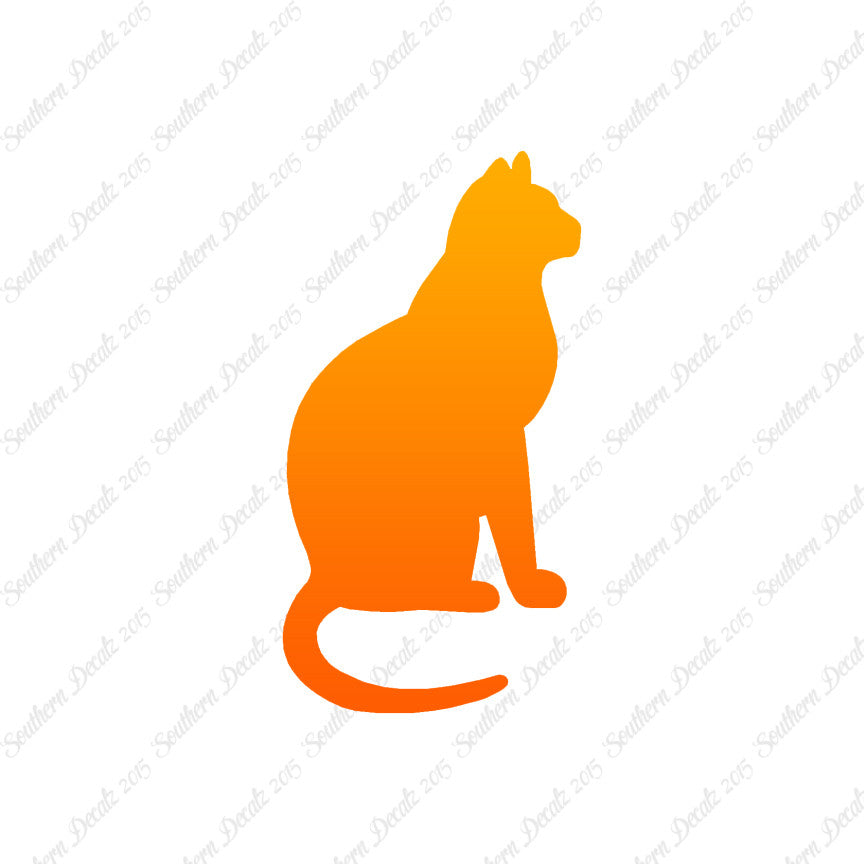 Sitting Cat Kitten