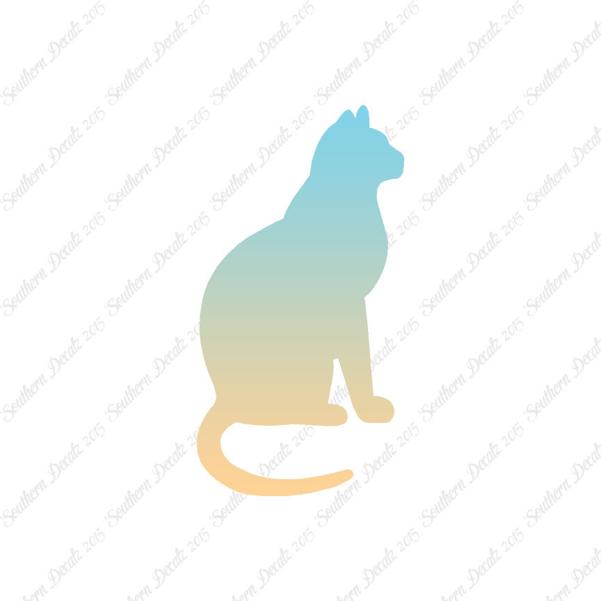 Sitting Cat Kitten