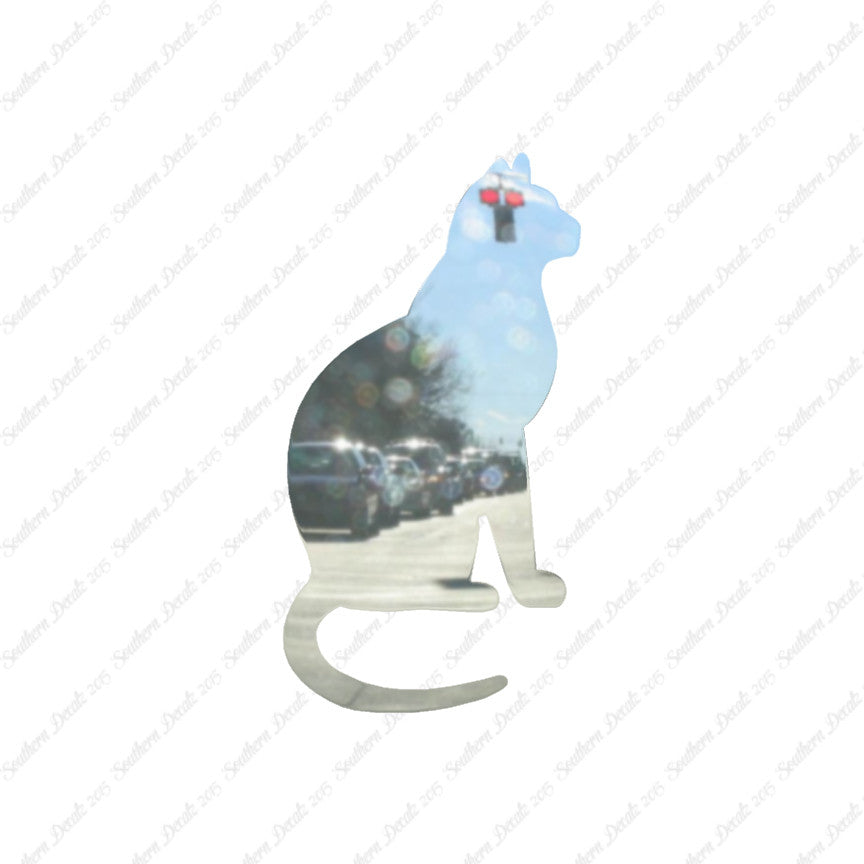 Sitting Cat Kitten