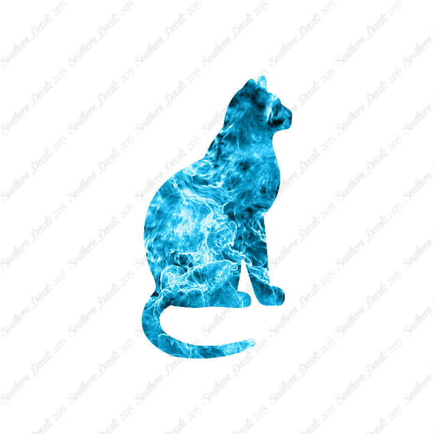 Sitting Cat Kitten