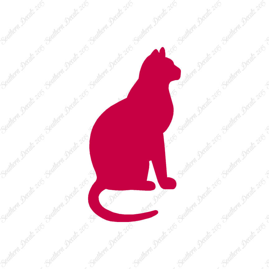 Sitting Cat Kitten