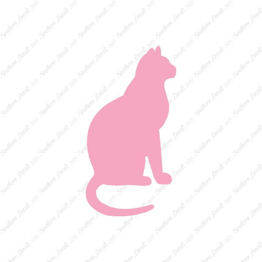 Sitting Cat Kitten