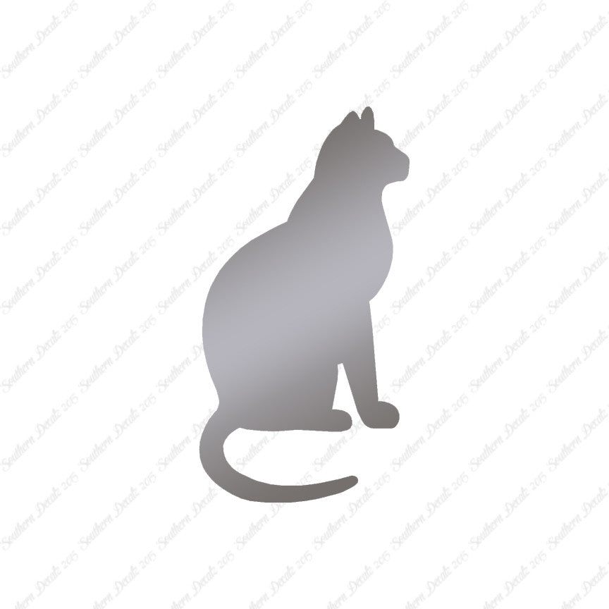 Sitting Cat Kitten