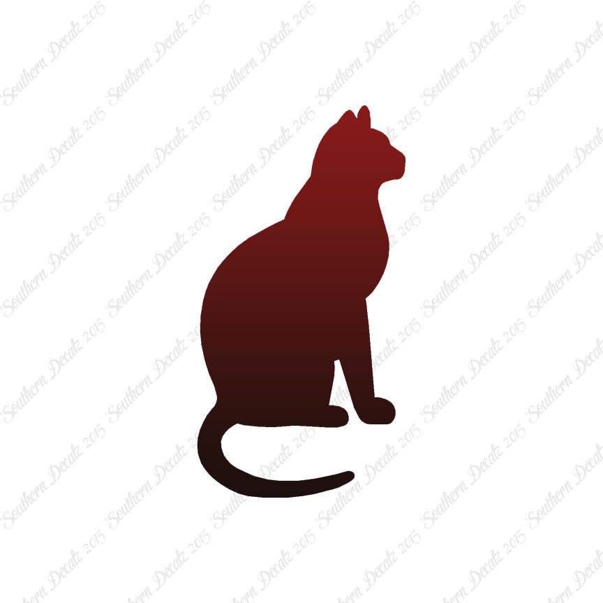 Sitting Cat Kitten