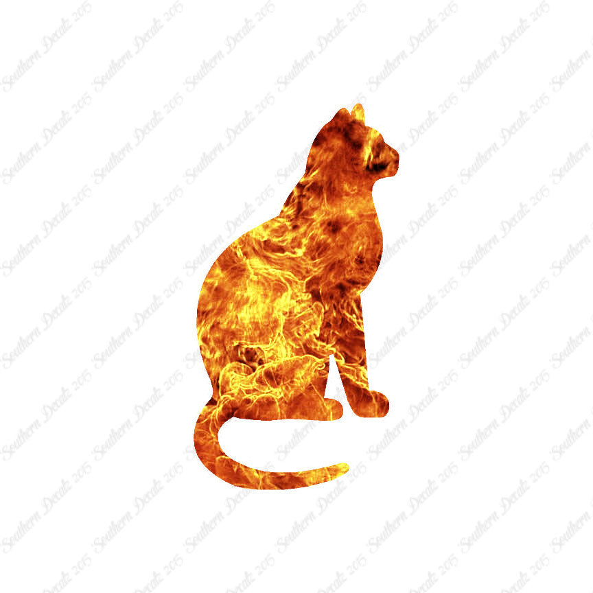 Sitting Cat Kitten