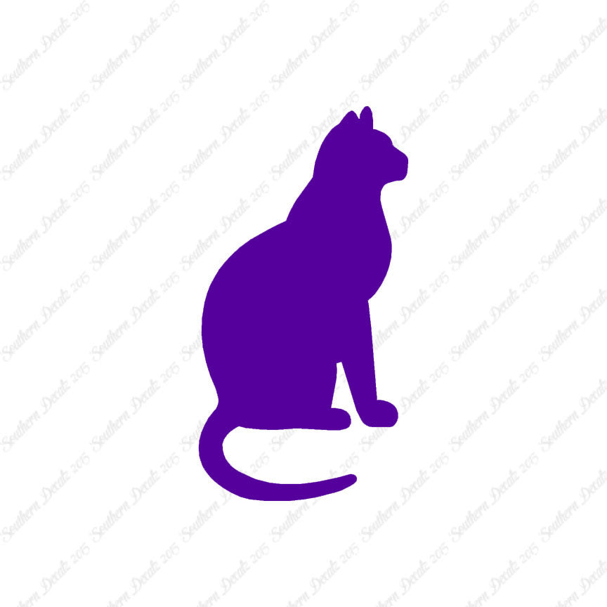 Sitting Cat Kitten