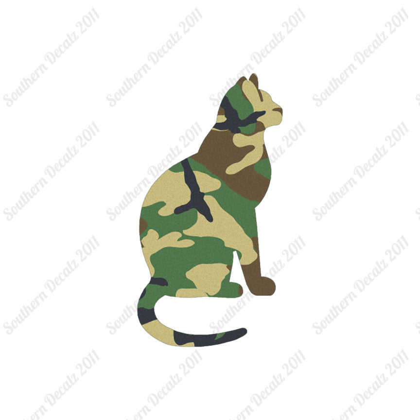 Sitting Cat Kitten