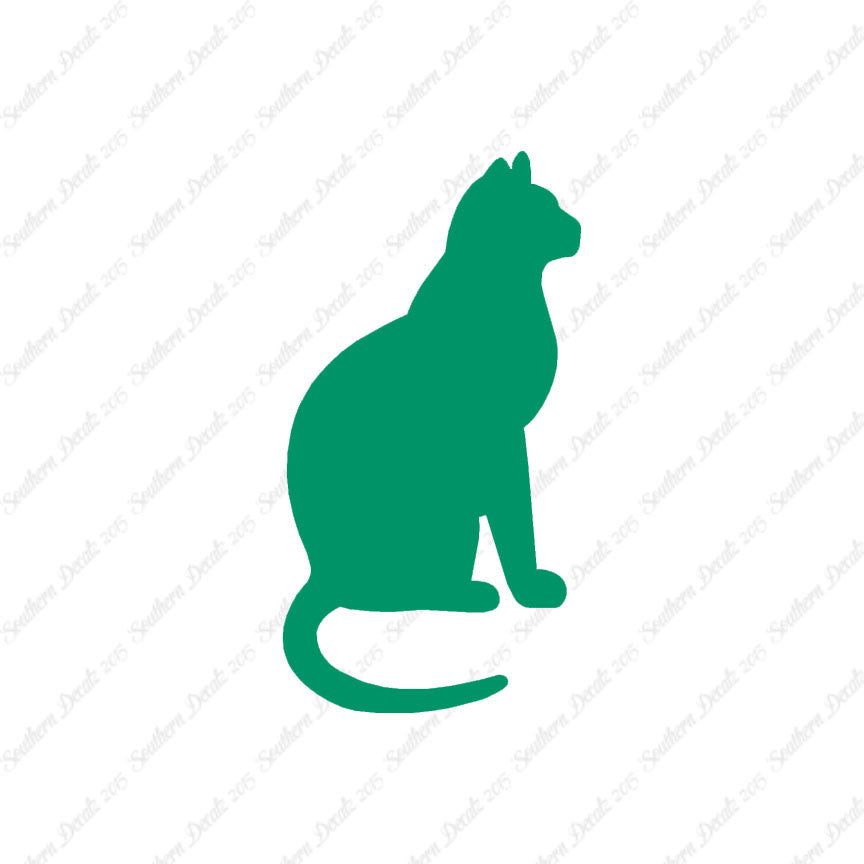 Sitting Cat Kitten