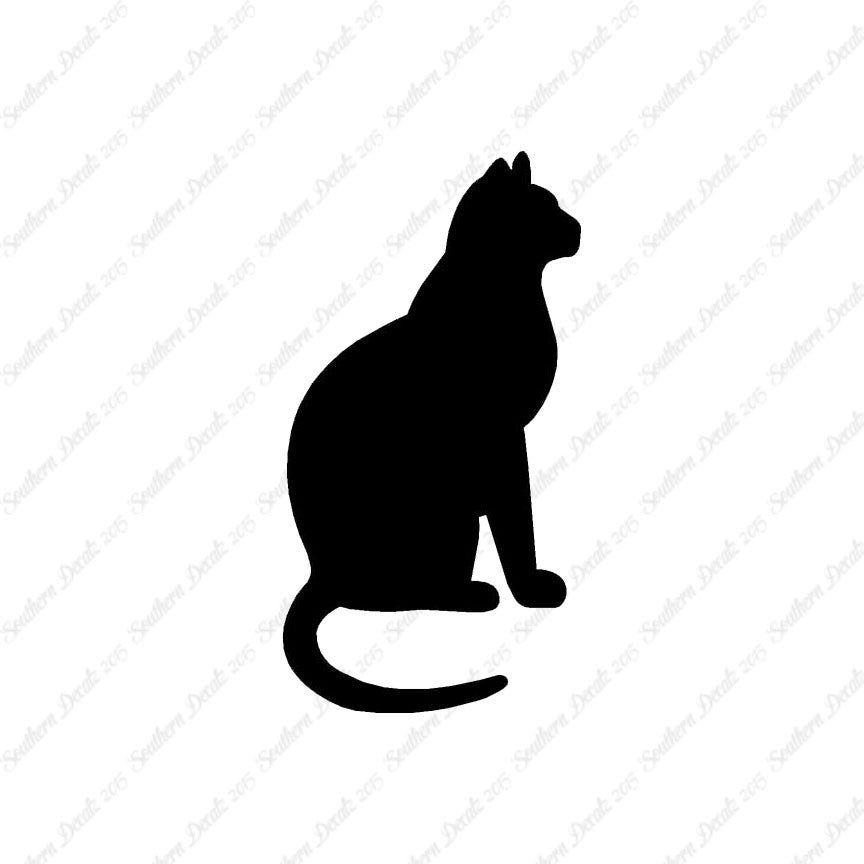 Sitting Cat Kitten