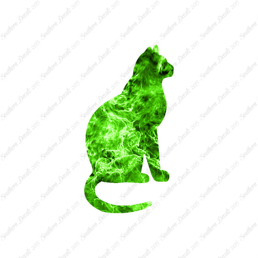 Sitting Cat Kitten