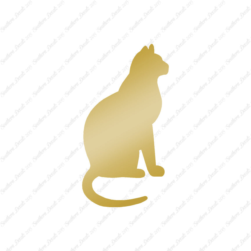 Sitting Cat Kitten
