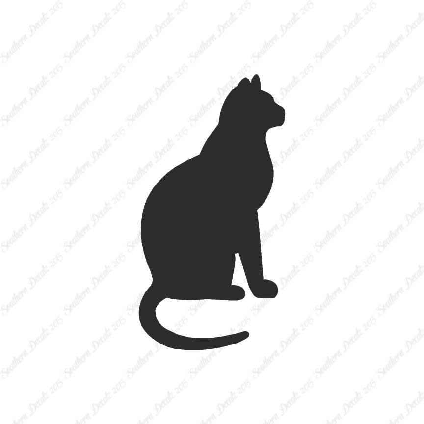 Sitting Cat Kitten