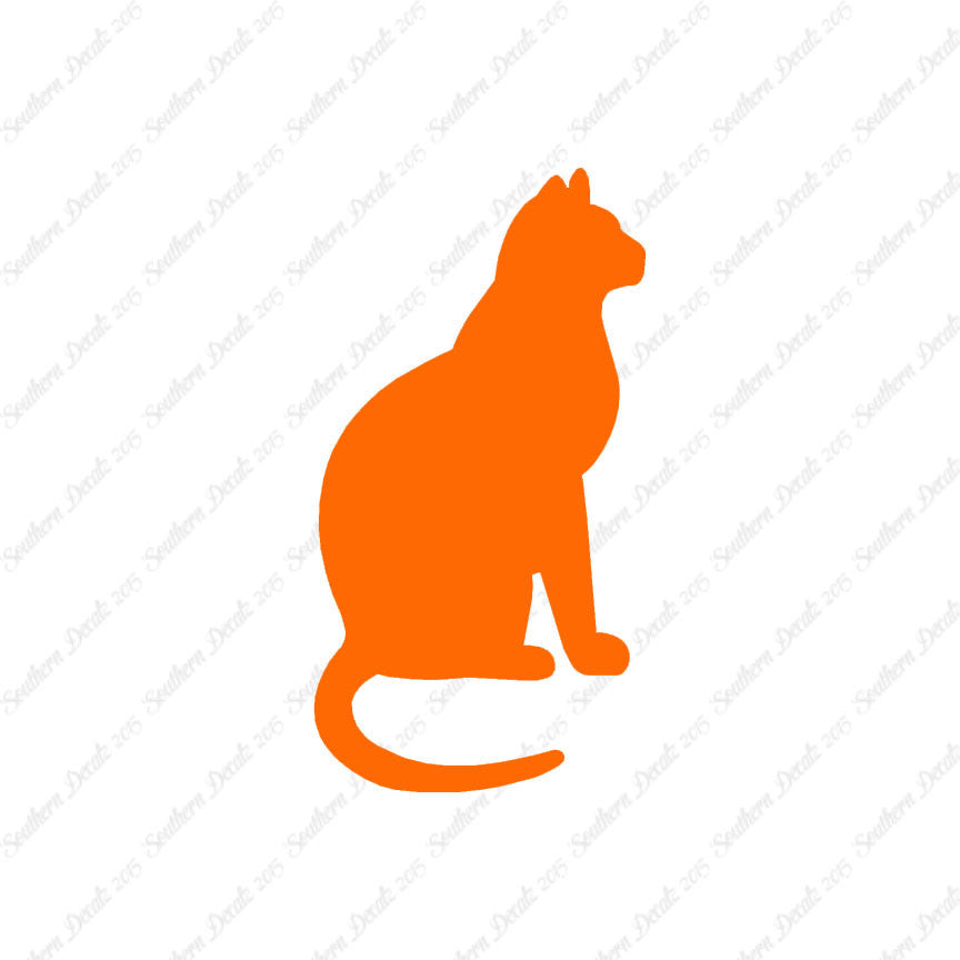 Sitting Cat Kitten